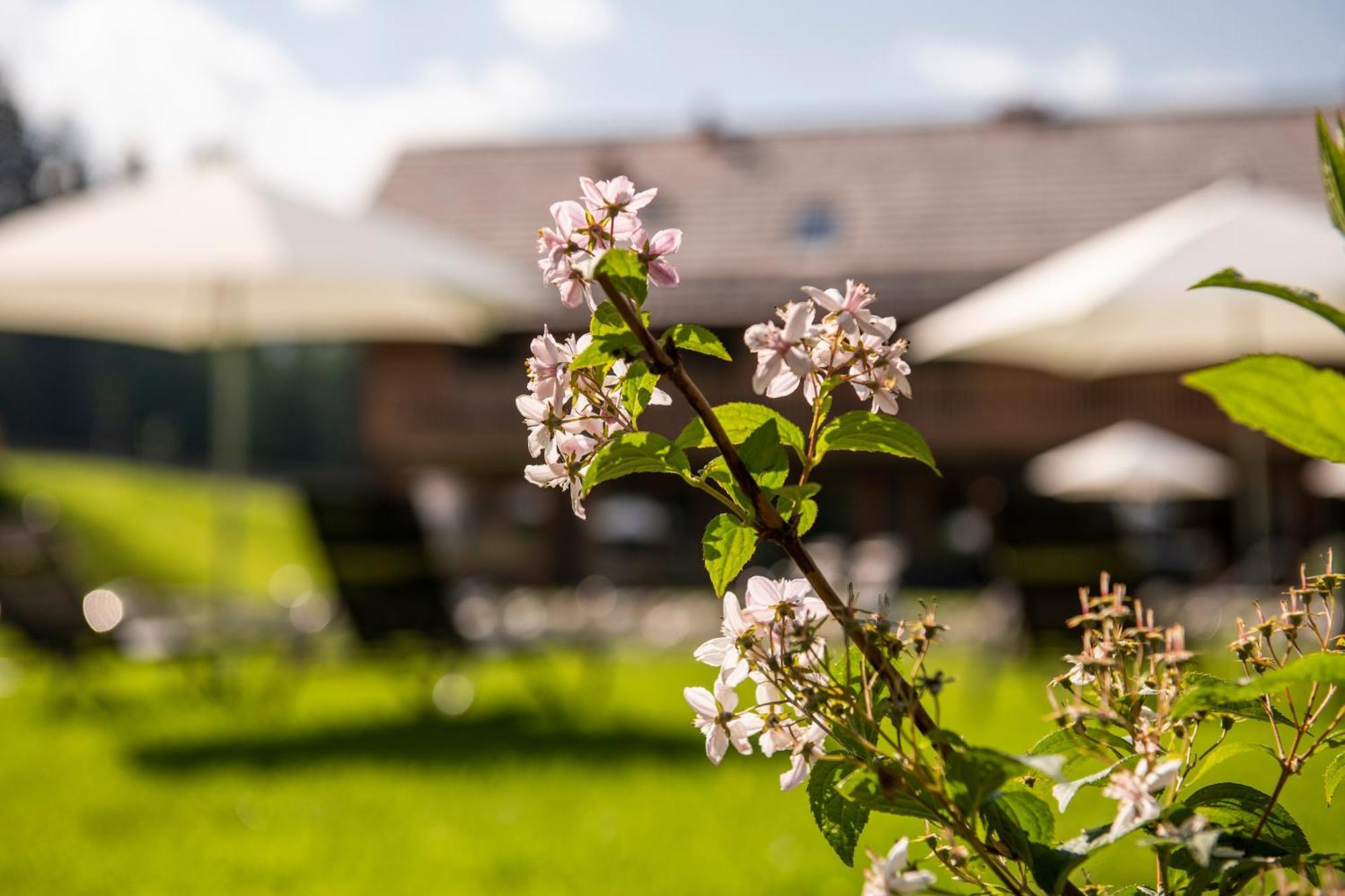 Lerchpeuntgut Alpenfreud Apartments Tamsweg Ngoại thất bức ảnh