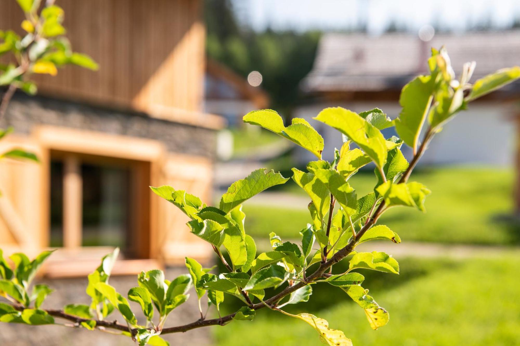 Lerchpeuntgut Alpenfreud Apartments Tamsweg Ngoại thất bức ảnh